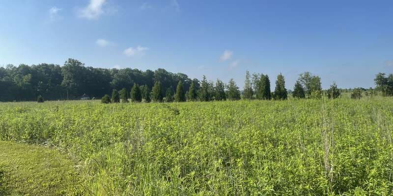 The featured photo for Pat & Clint Mauk's Prairie