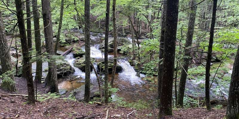 The featured photo for Pease Brook