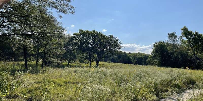 The featured photo for Restored Prairie