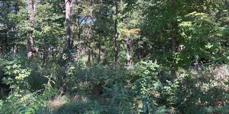 The featured photo for Hidden Creek Natural Area