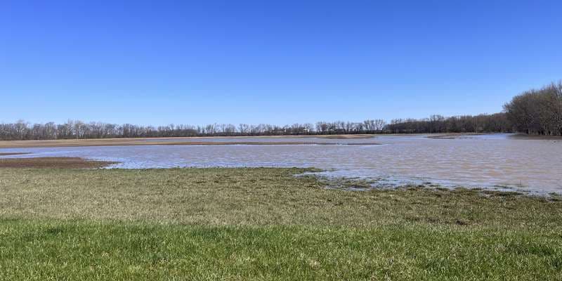 The featured photo for Fox-Shank Preserve