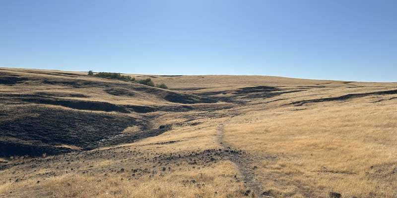 The featured photo for North Table Mountain Ecological Reserve - Unit 2