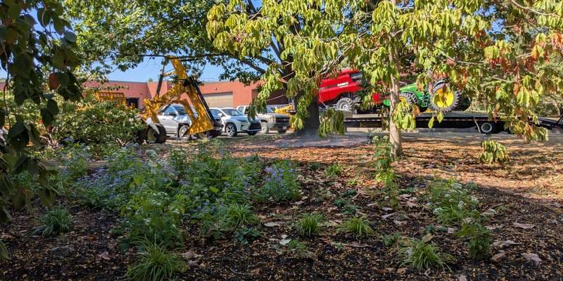 The featured photo for OSU EES Rain Garden