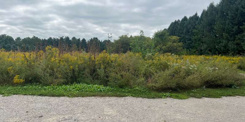 The featured photo for Fransen Natural Area