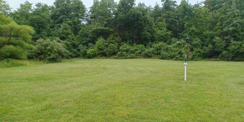 The featured photo for Pinchot - Cabin 9 Field to Wetland Project