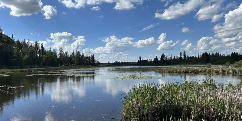 The featured photo for Lacombe Lake