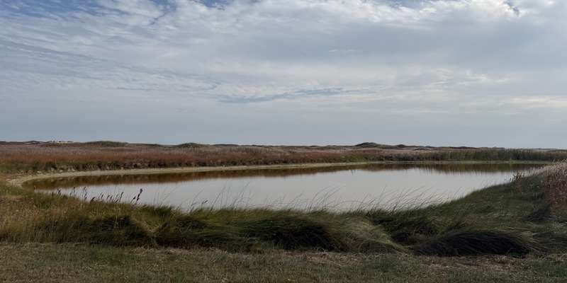 The featured photo for Fresh Water Pond