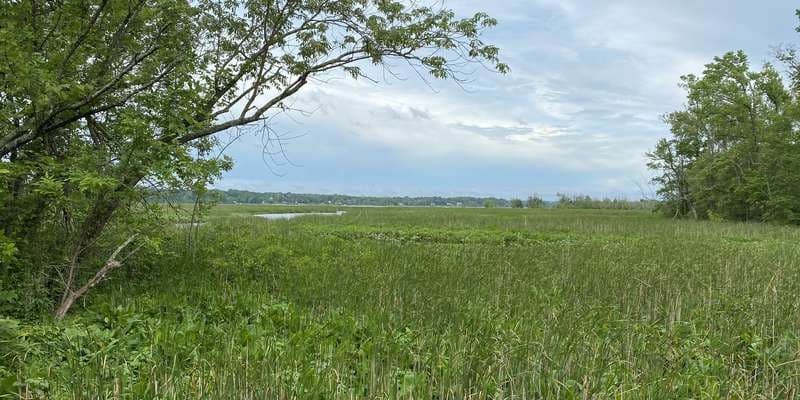 The featured photo for Haul Road by the bridge