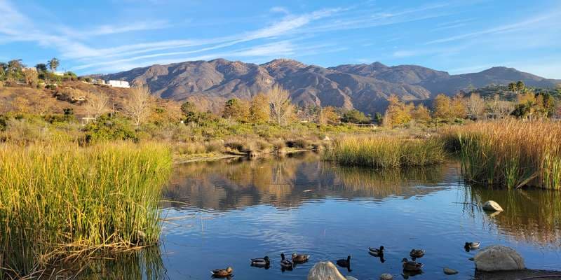 The featured photo for Legacy Park Retention Basin