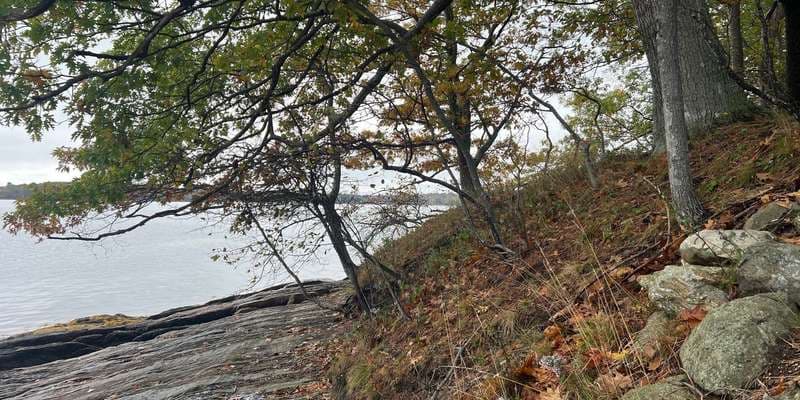 The featured photo for Littlejohn Island Preserve