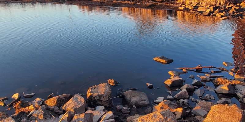 The featured photo for Fish Creek Sloughs in Prentice Park