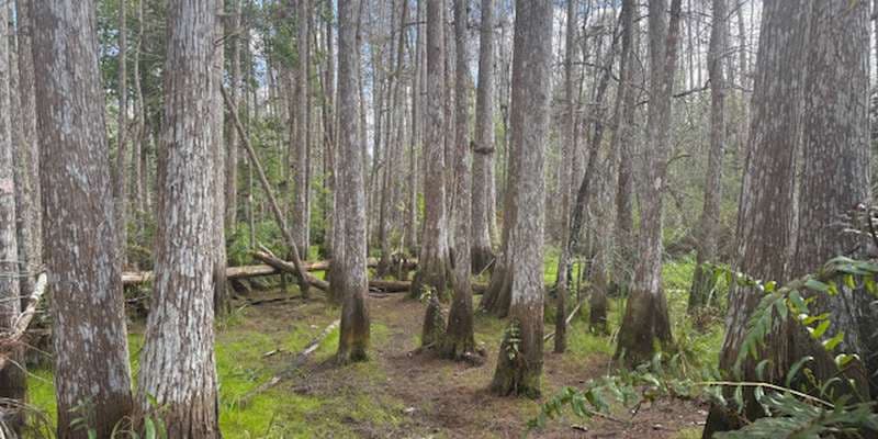 The featured photo for null