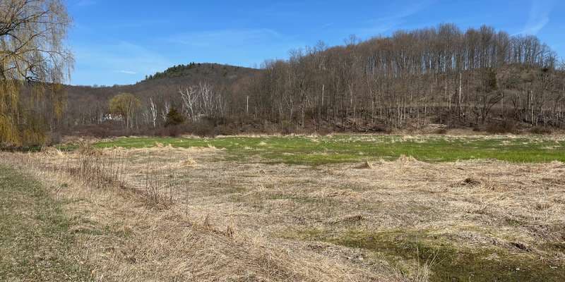 The featured photo for Cary Institute Lowlands