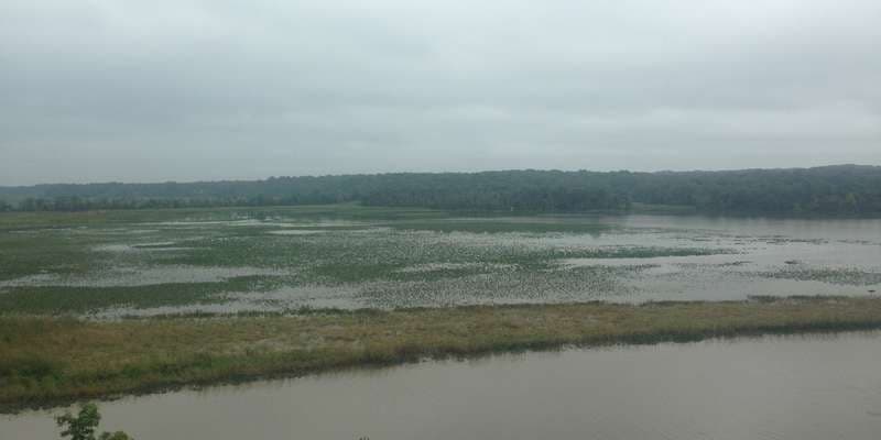 The featured photo for Jug Bay