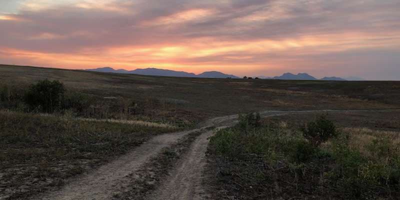The featured photo for Standley Lake Prairie Dogs