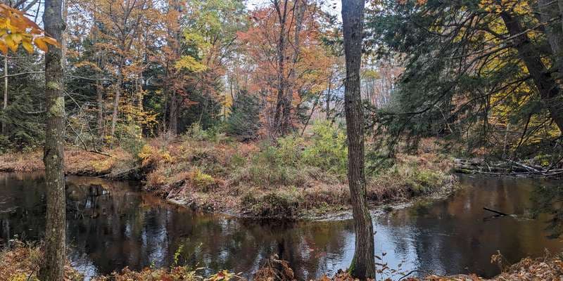 The featured photo for Pondicherry Park