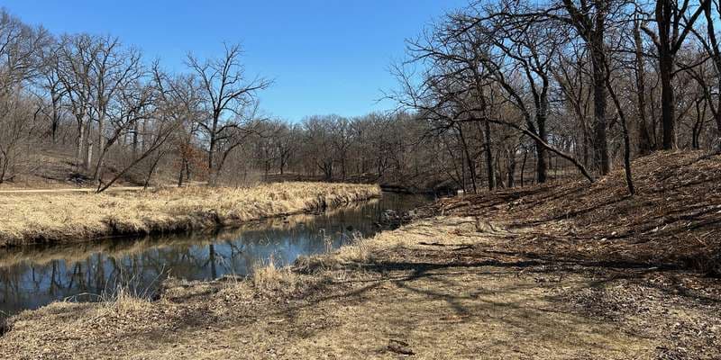 The featured photo for Big Willow Park shoreland restoration