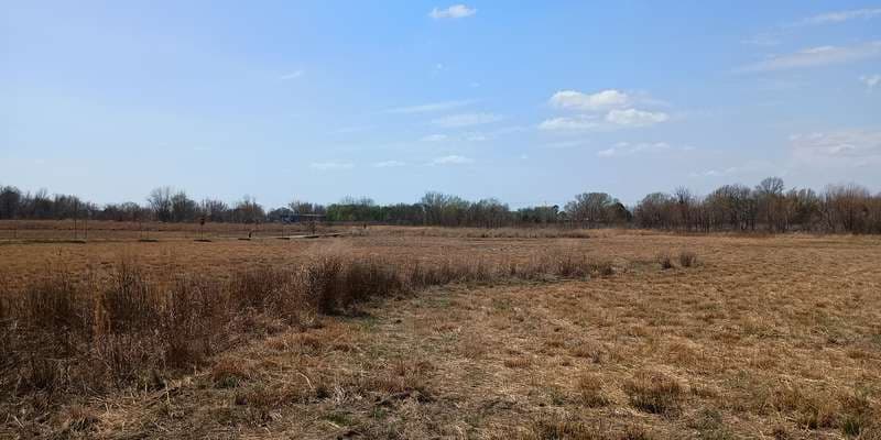 The featured photo for Native Tallgrass Prairie
