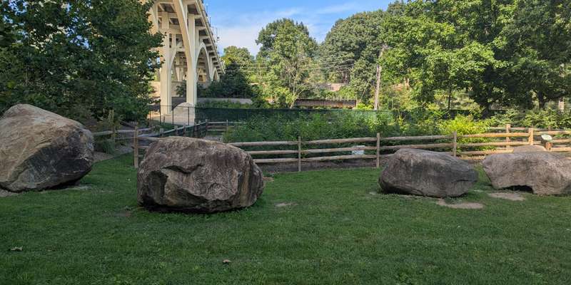 The featured photo for Cleveland Metroparks Zoo Mini Forest
