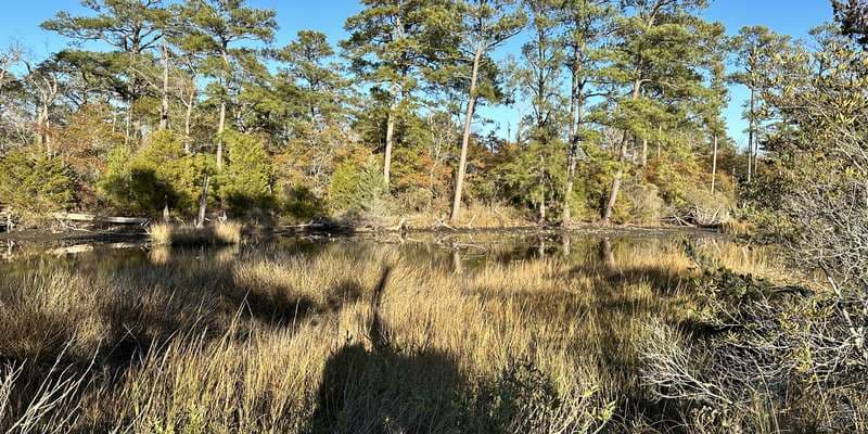 The featured photo for First Landing - Osprey Trail Bridge