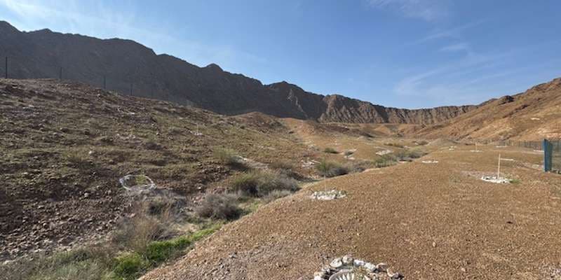 The featured photo for Wadi Wurayah Protected Zone