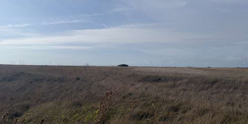 The featured photo for Coastal Prairie (Bird Island Basin Road)