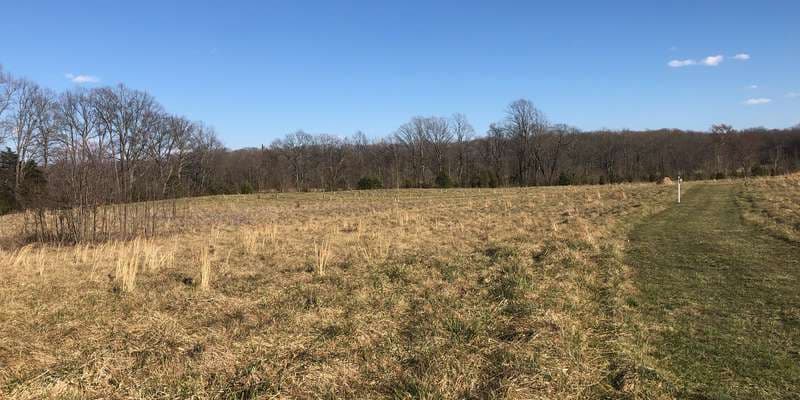 The featured photo for Blackbird Creek Reserve