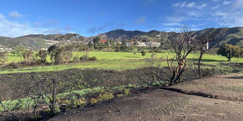 The featured photo for Malibu Bluffs Park
