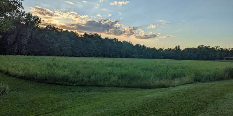 The featured photo for Rising Valley pollinator meadow