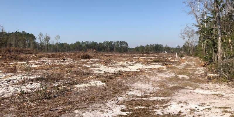 The featured photo for E. Guy Revell, Jr. Nature Trail Conservation Area