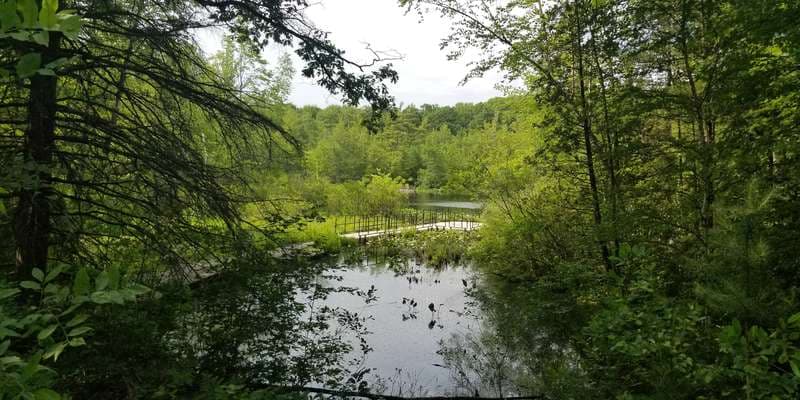The featured photo for Chrishaven Lake