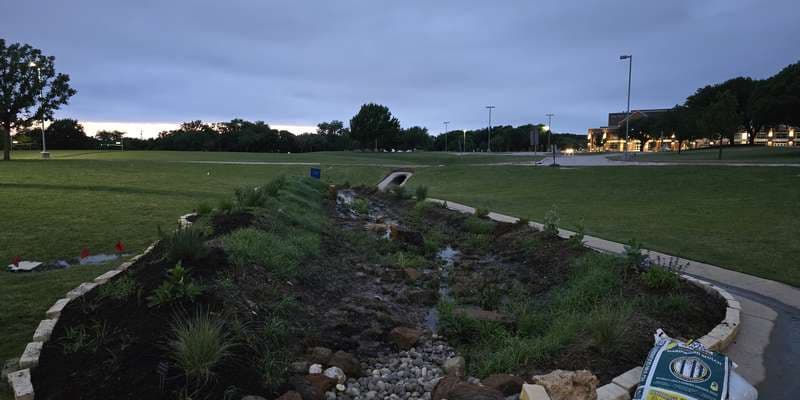 The featured photo for RHS Rain Garden