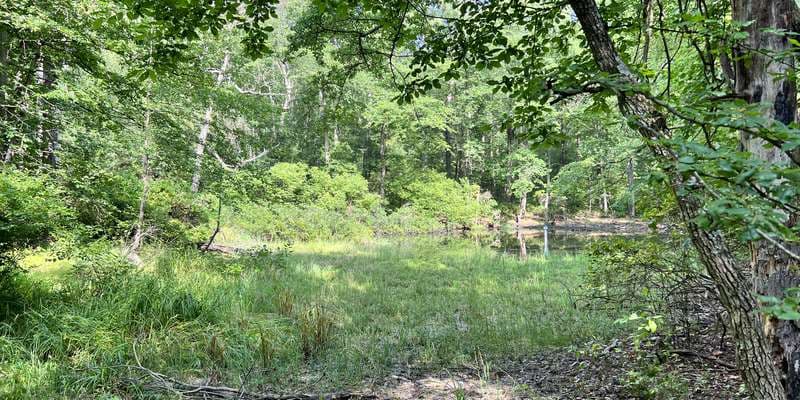 The featured photo for Kings Gap - Pine Pond