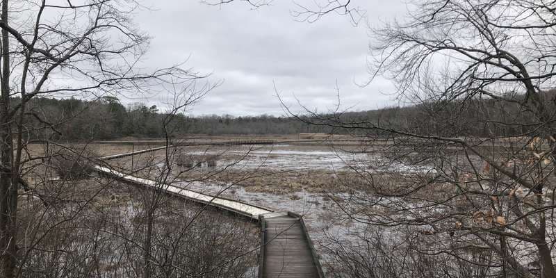 The featured photo for Tidal Wetlands at Point of Rocks