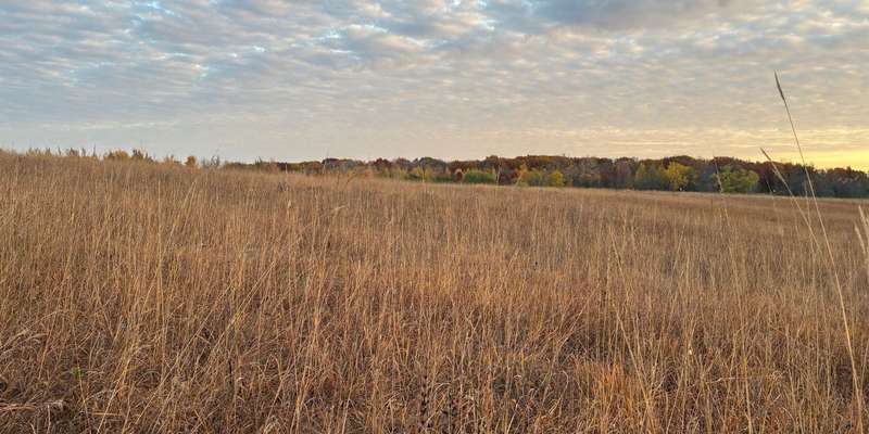 The featured photo for Elm Creek Park Reserve – Eastman Nature Center