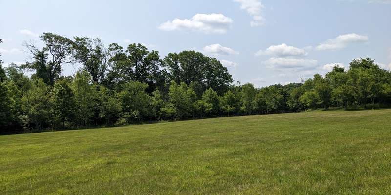 The featured photo for Pollinator Meadow Restoration Project