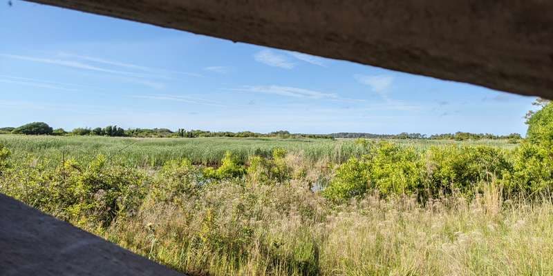 The featured photo for Wildlife Viewing Window