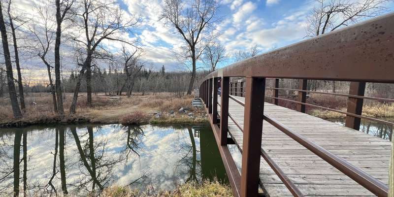 The featured photo for FCP101