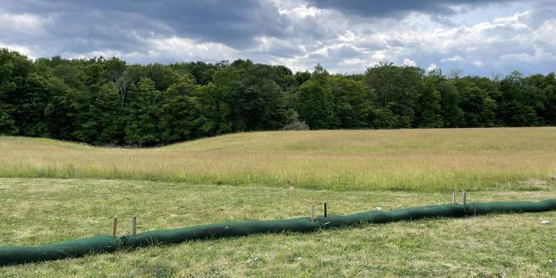 The featured photo for Riparian Buffer Restoration