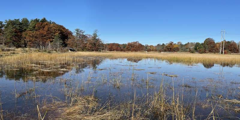 The featured photo for Fore River Sanctuary