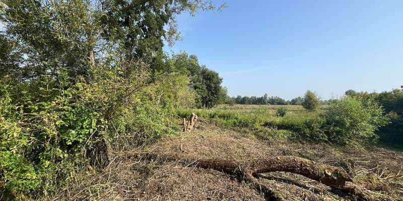 The featured photo for Den Battelaer, Mechelen