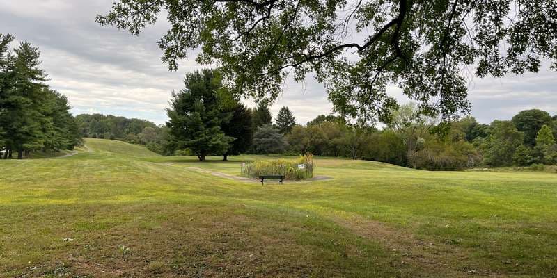 The featured photo for Butterfly Waystation