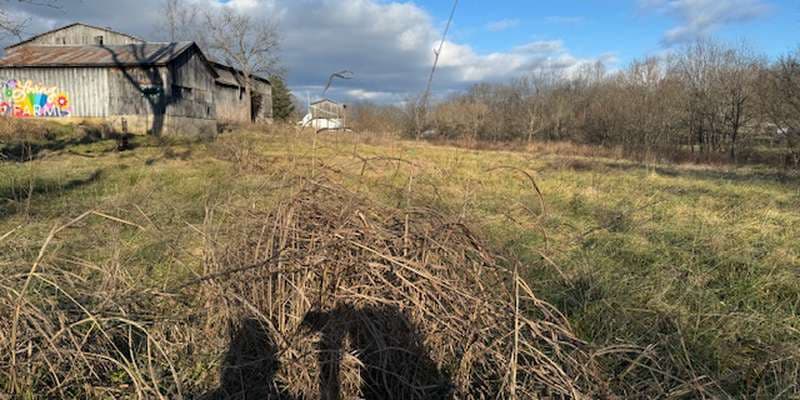 The featured photo for LOV-201