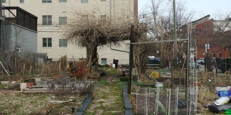 The featured photo for Franky Machine Garden