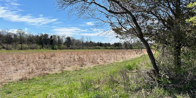 The featured photo for Pollinator Field - KI Airport