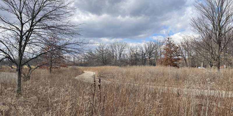 The featured photo for Pollinator Prairie- East