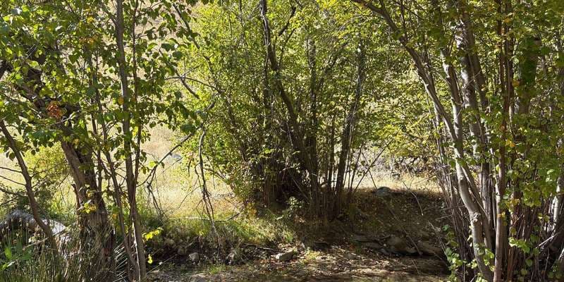The featured photo for Dry Creek-Station 9