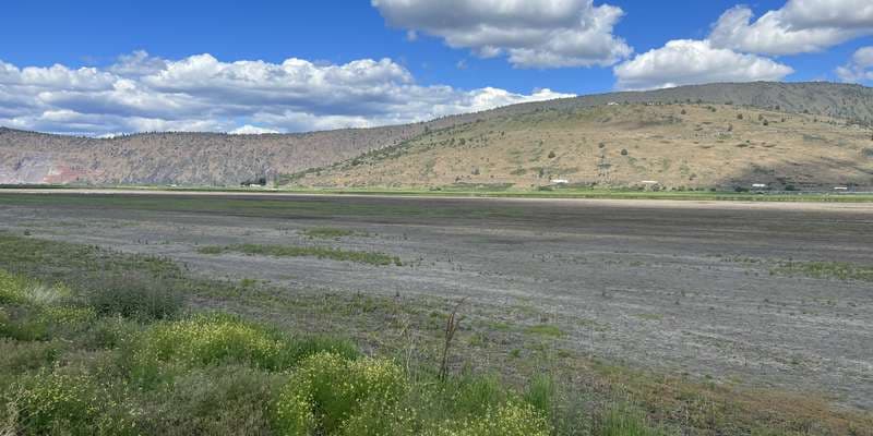 The featured photo for Moist Soil Wetland Field 2