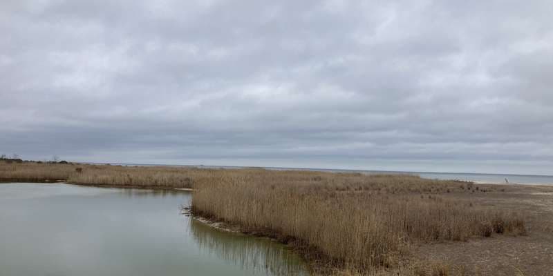 The featured photo for Flag Ponds Nature Park