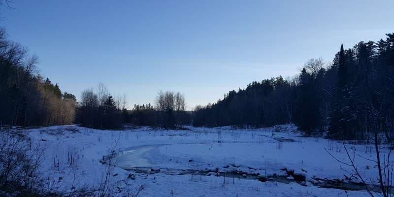 The featured photo for Mission Creek Restoration Overlook